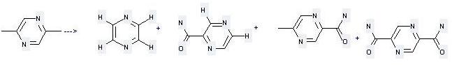 2-Pyrazinecarboxamide, 5-methyl- can be prepared by 2,5-dimethyl-pyrazine at the temperature of 400 °C